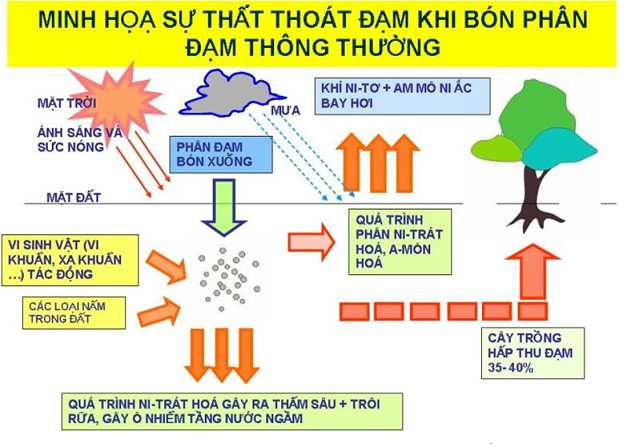 Phân Con Lười, phân bón hiệu Con Lười