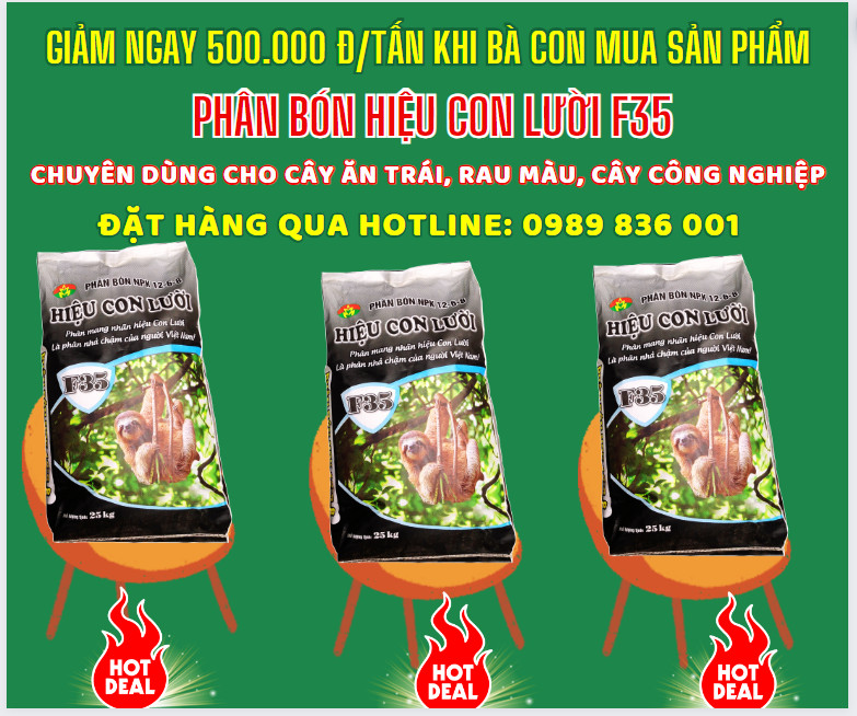 Phân bón hiệu Con Lười F35, cây ăn trái