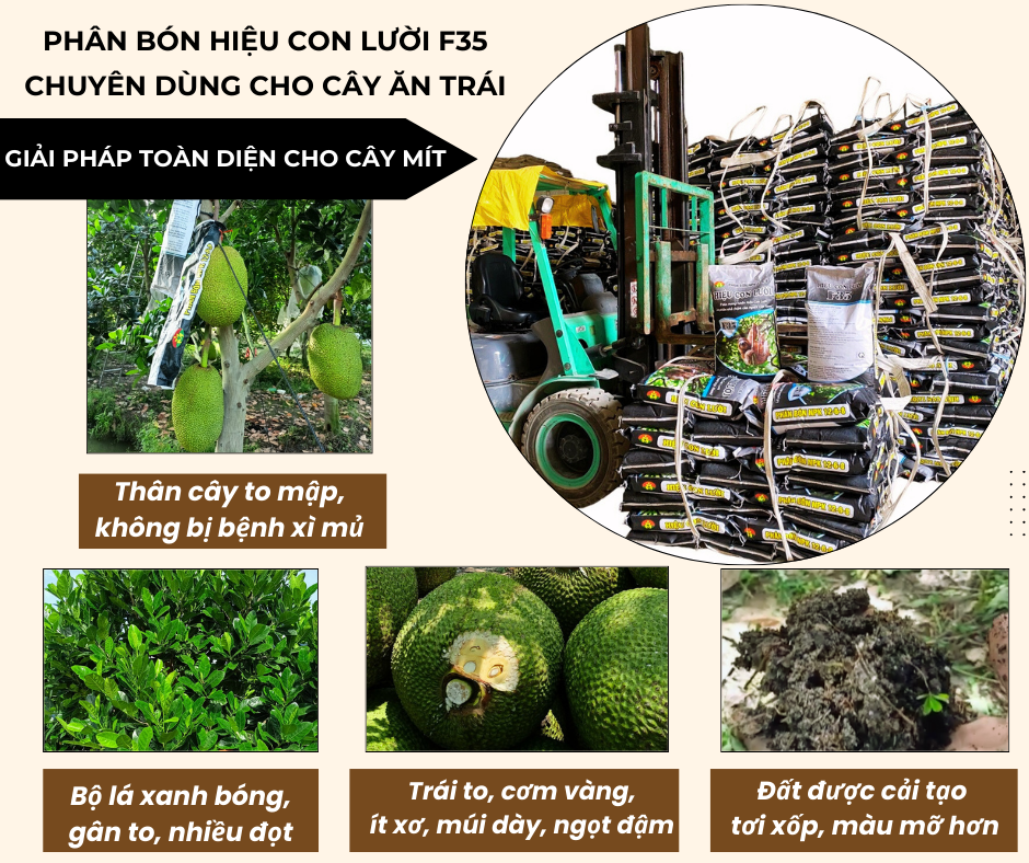 Phân bón hiệu Con Lười F35, mít