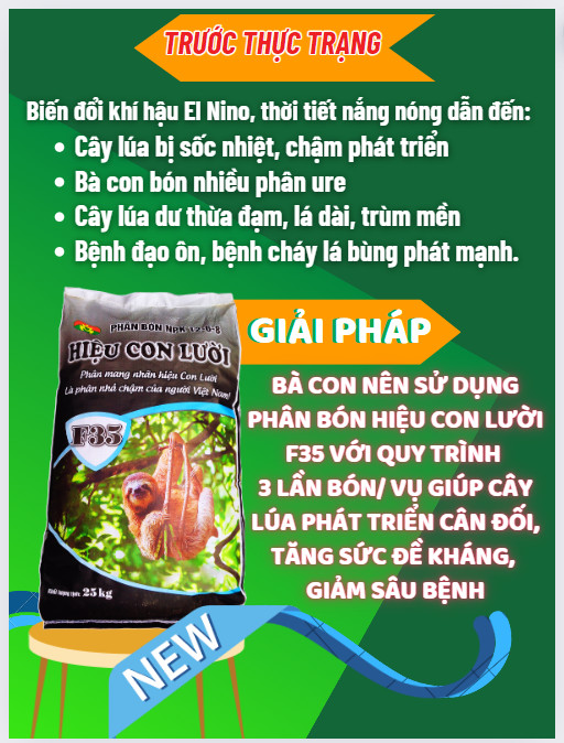 Phân bón hiệu Con Lười