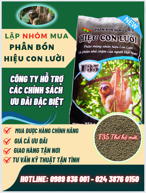 Phân bón hiệu Con Lười F35