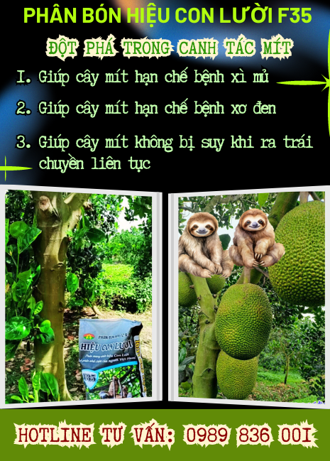 Phân bón hiệu Con Lười F35
