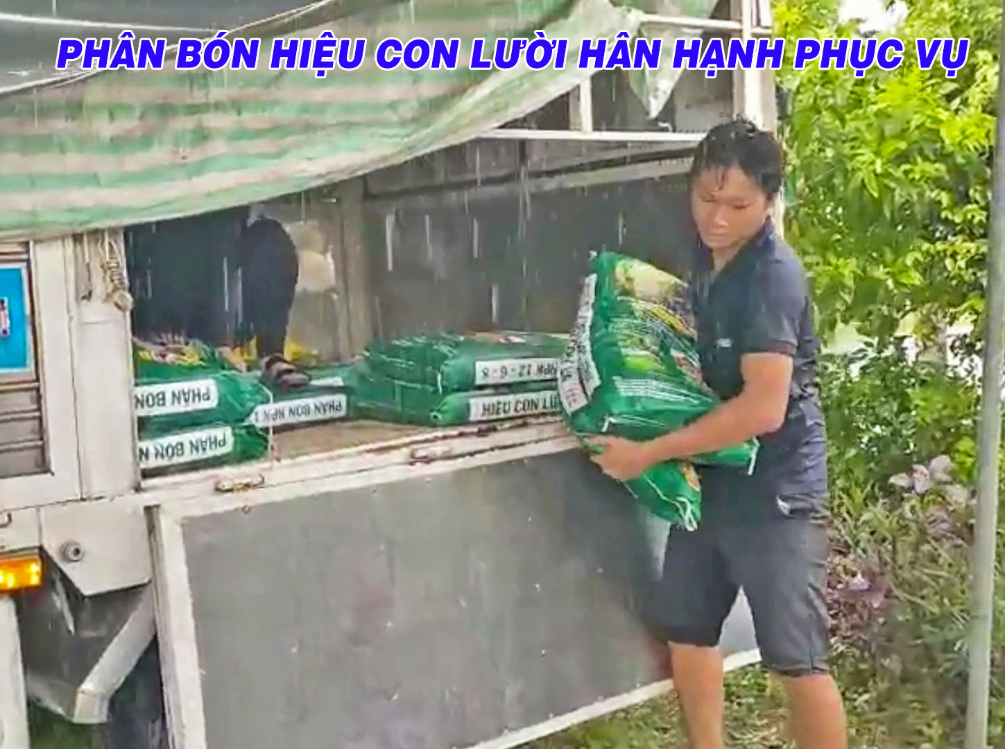 phân bón hiệu con lười,