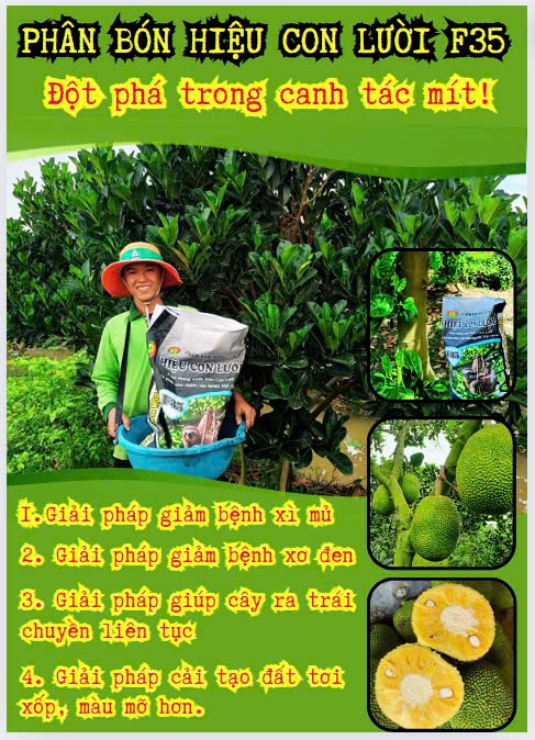 Phân bón hiệu Con Lười F35