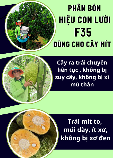 Phân bón hiệu Con Lười F35