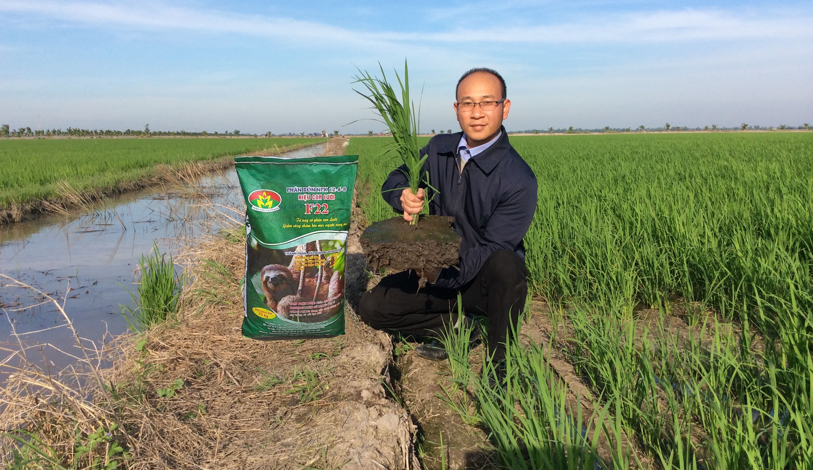 ph&acirc;n b&oacute;n hiệu con lười, rễ,