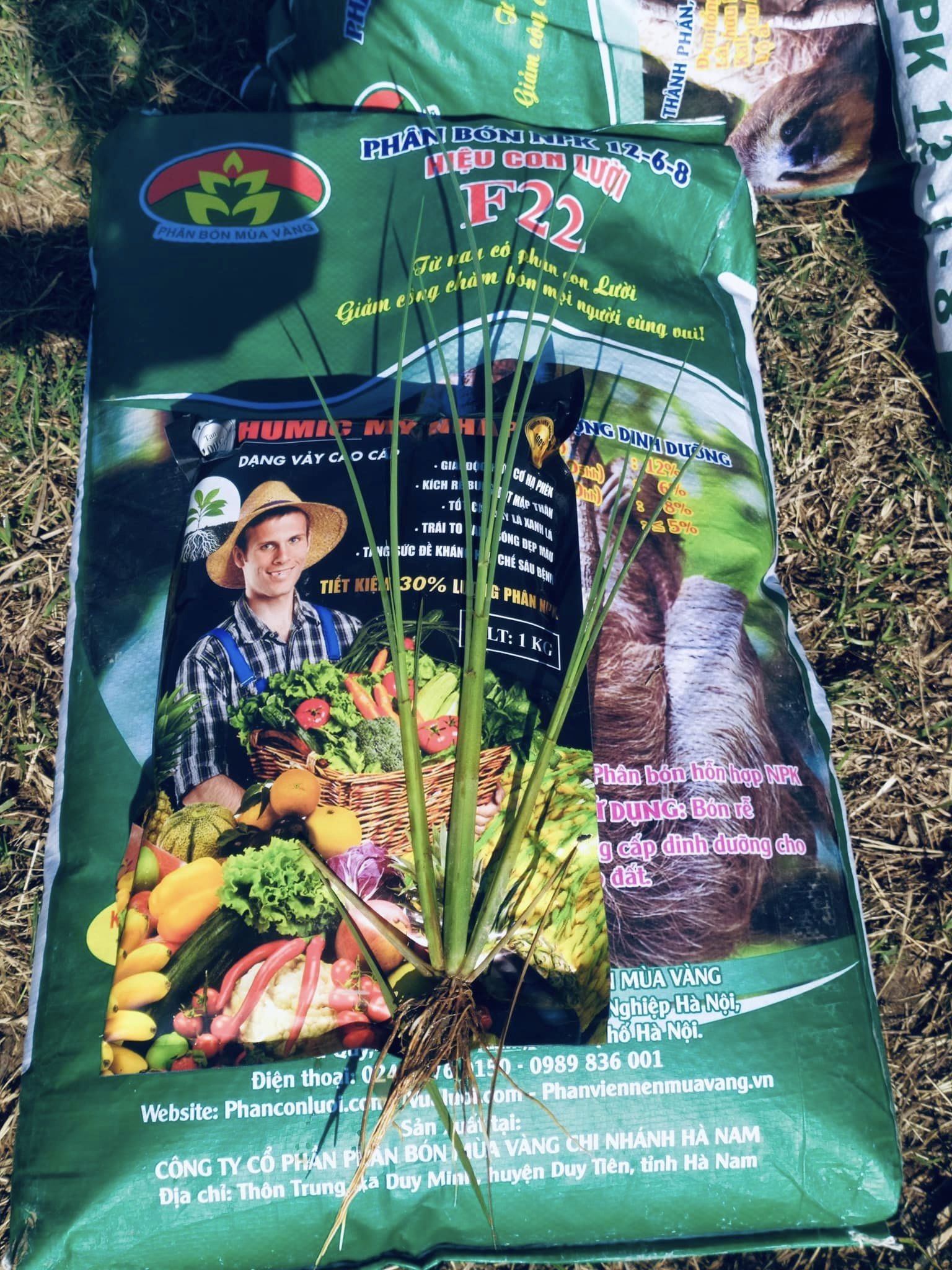 Phân bón hiệu Con lười F22