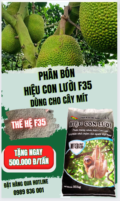 Phân bón hiệu Con Lười F35, cây mít