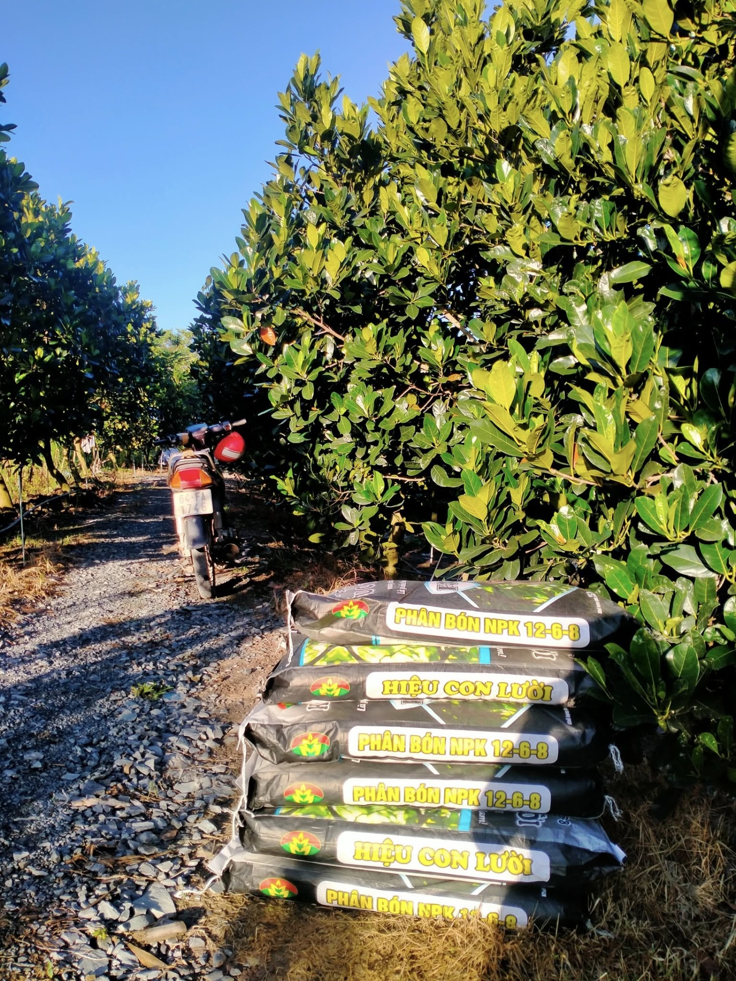 Phân bón hiệu Con Lười f35