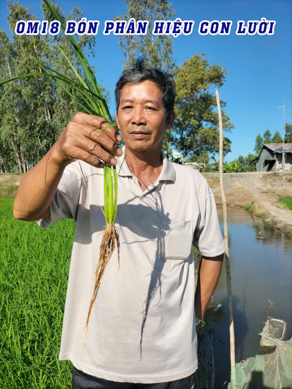 phân bón hiệu con lười,