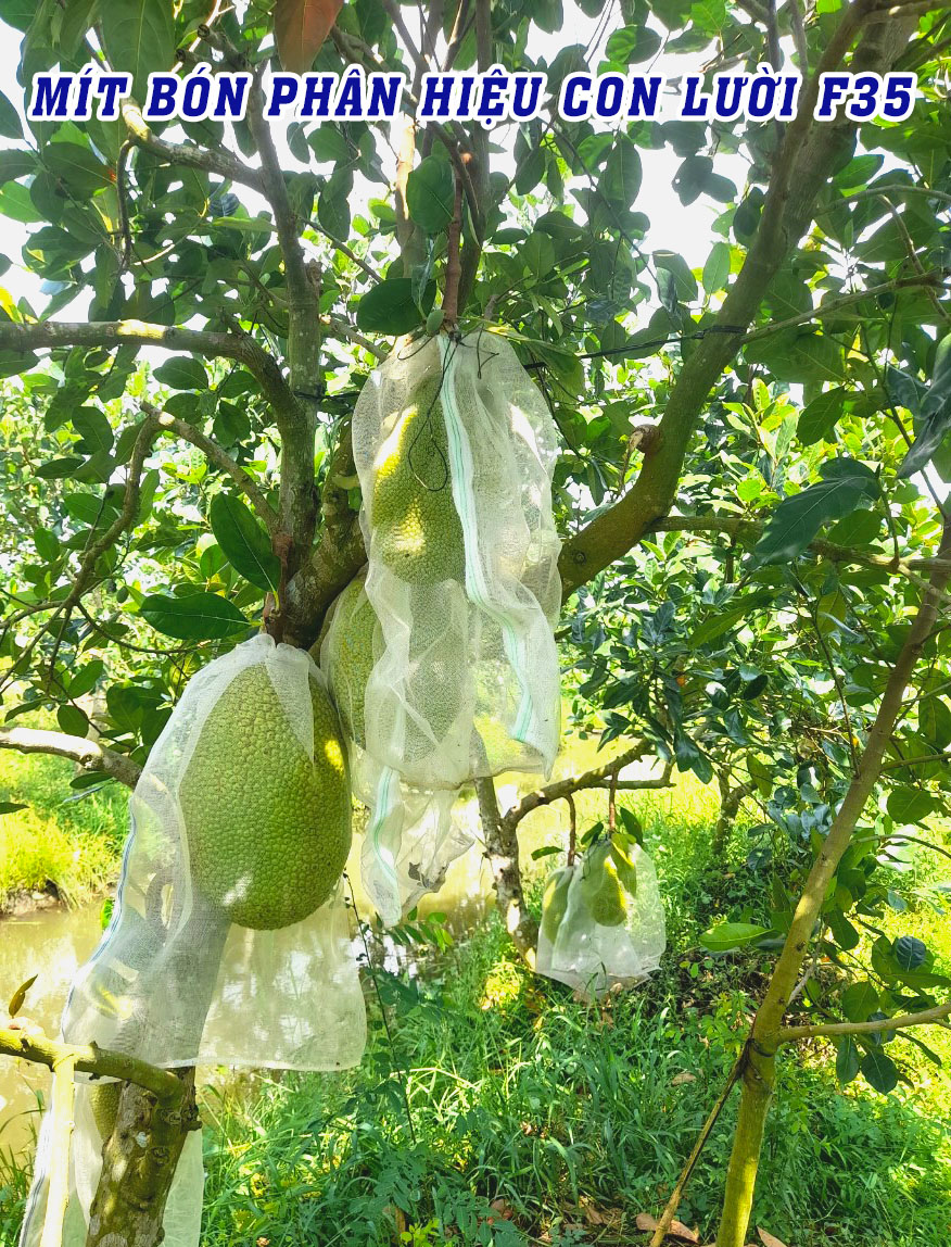 phân bón hiệu con lười,