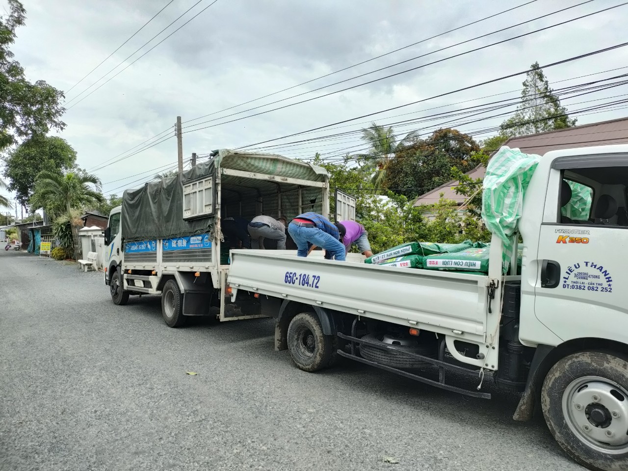 phân bón hiệu con lười cho lúa đạt năng suất cao