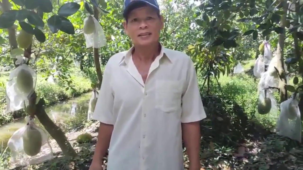 phân bón hiệu con lười, mít