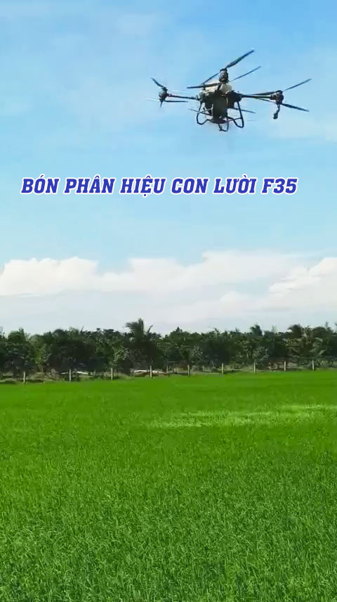 phân bón hiệu con lười, lúa