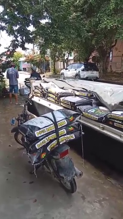 phân bón hiệu con lười, 