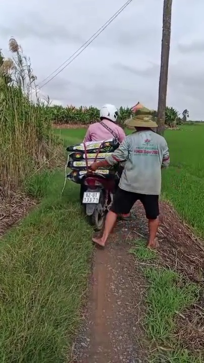 phân bón hiệu con lười, 