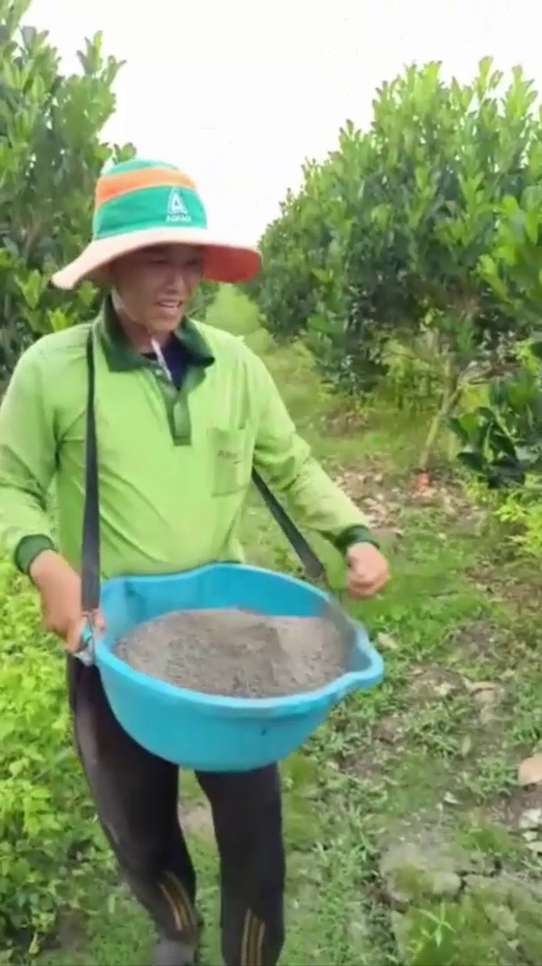 Phân bón hiệu Con Lười F35, mít