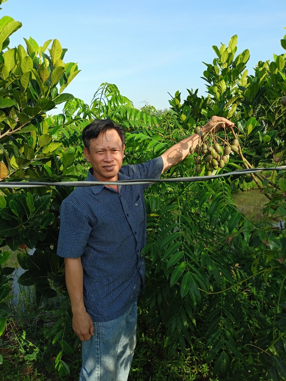Phân bón hiệu Con lười f35