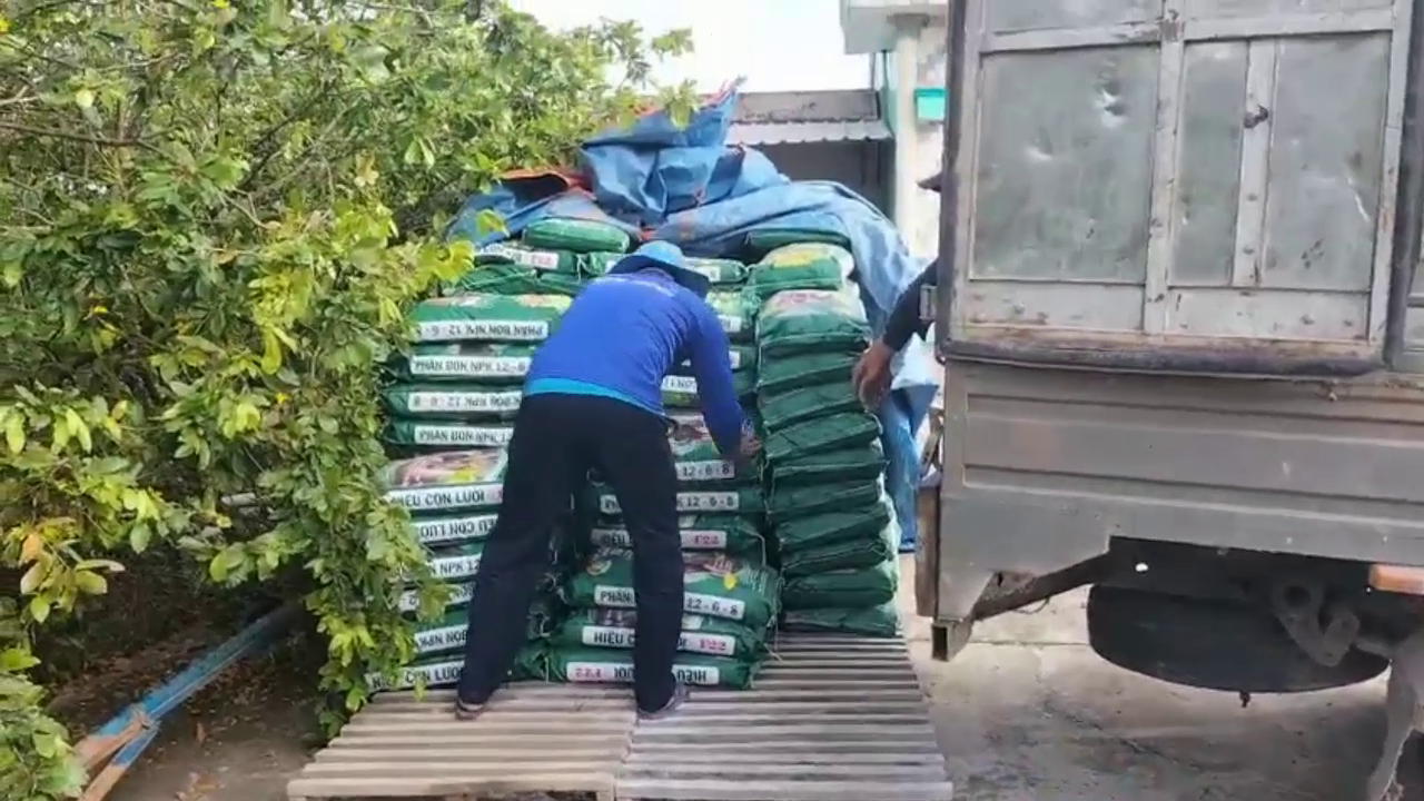 Ph&acirc;n b&oacute;n hiệu Con Lười