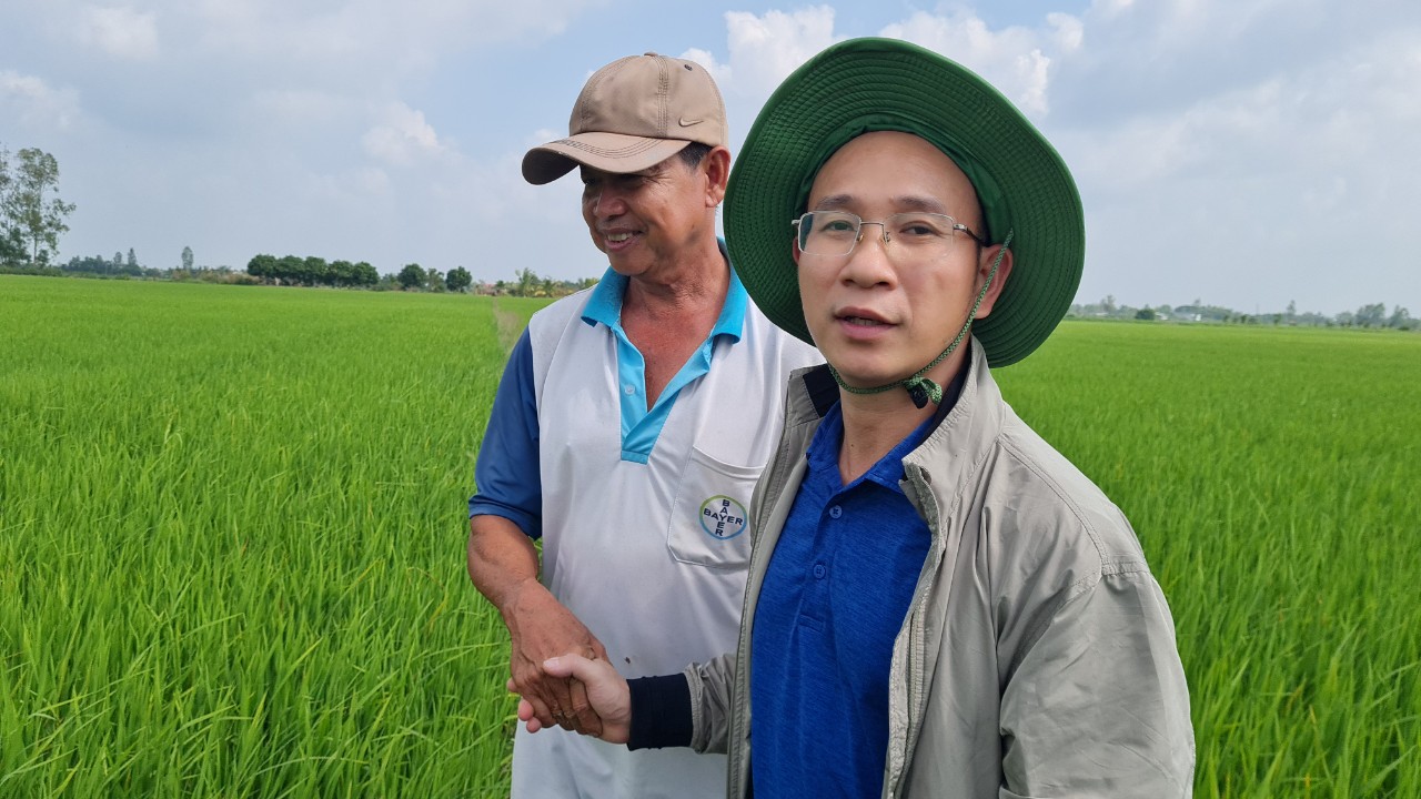 Phân bón hiệu Con Lười