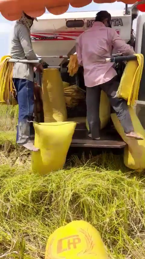 Phân bón hiệu Con Lười