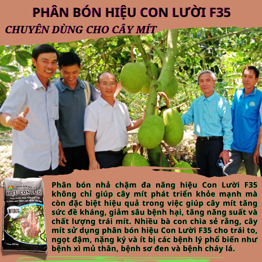 phân bón hiệu Con Lười F35, cây mít