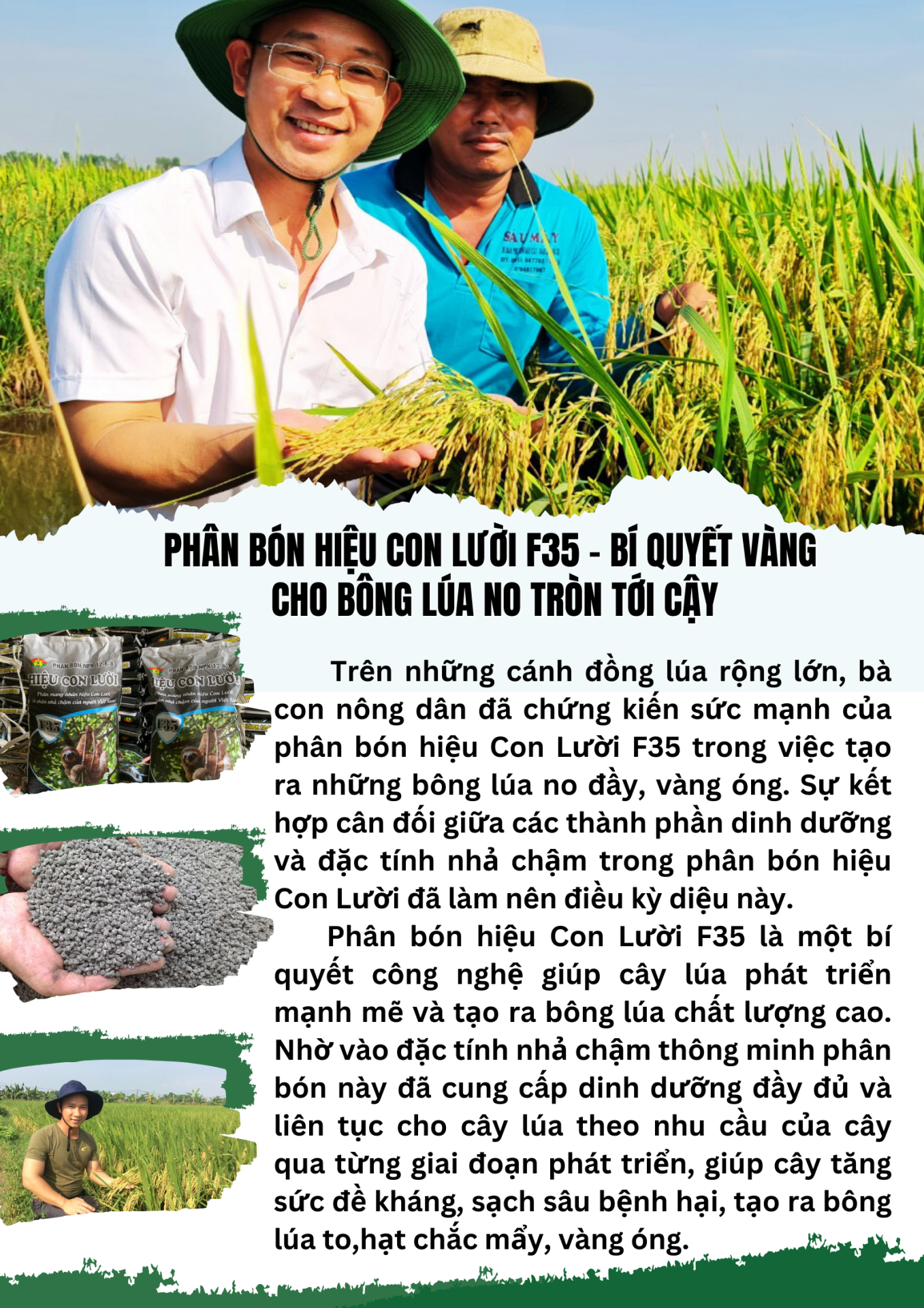 Phân bón hiệu Con Lười F35