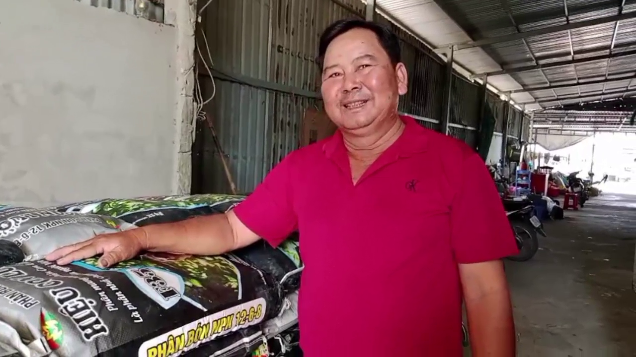 phân bón hiệu Con Lười, cây lúa