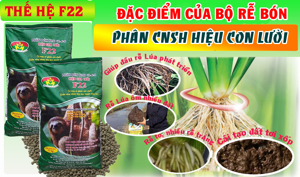 phèn, con lười,