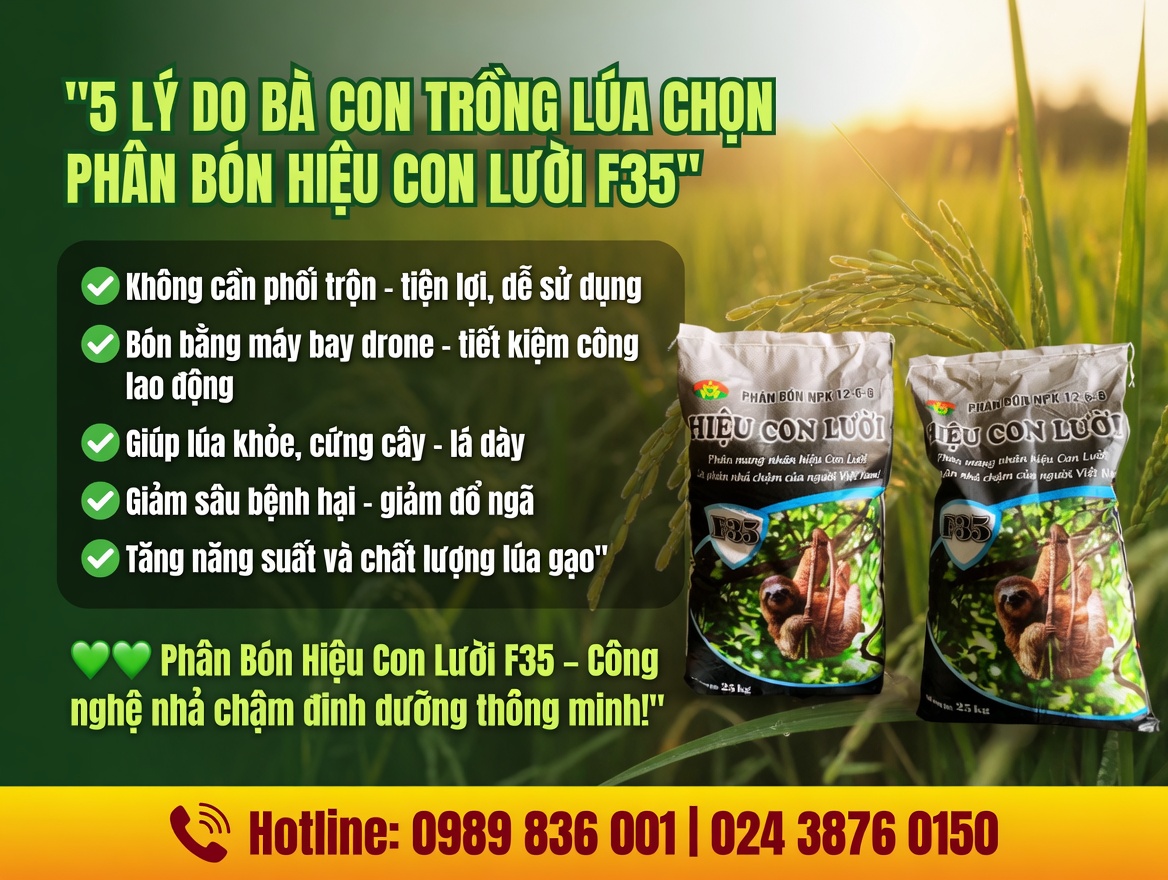 Ph&acirc;n b&oacute;n hiệu Con Lười F35, Ph&acirc;n B&oacute;n Hiệu Con Lười F35