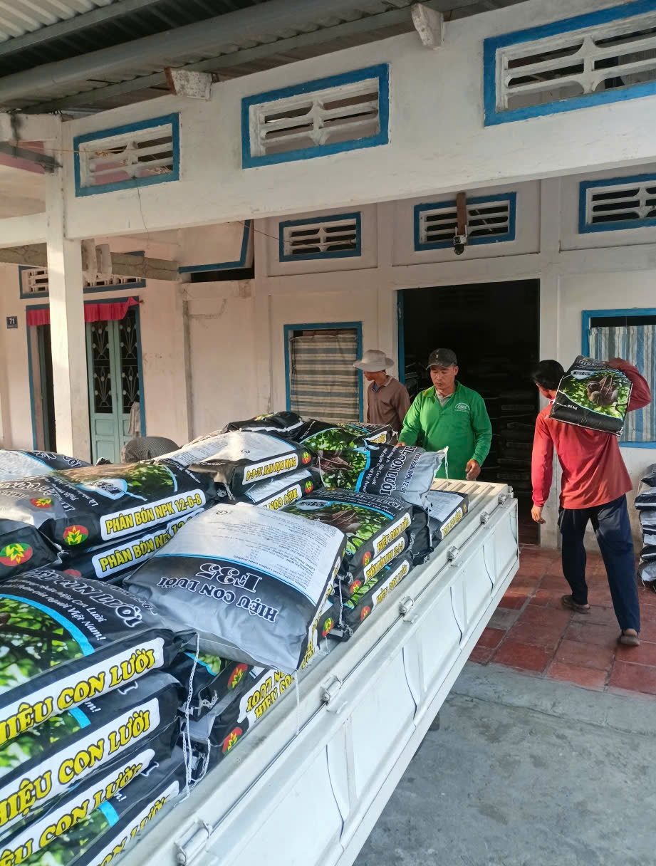 Ph&acirc;n b&oacute;n hiệu Con Lười F35