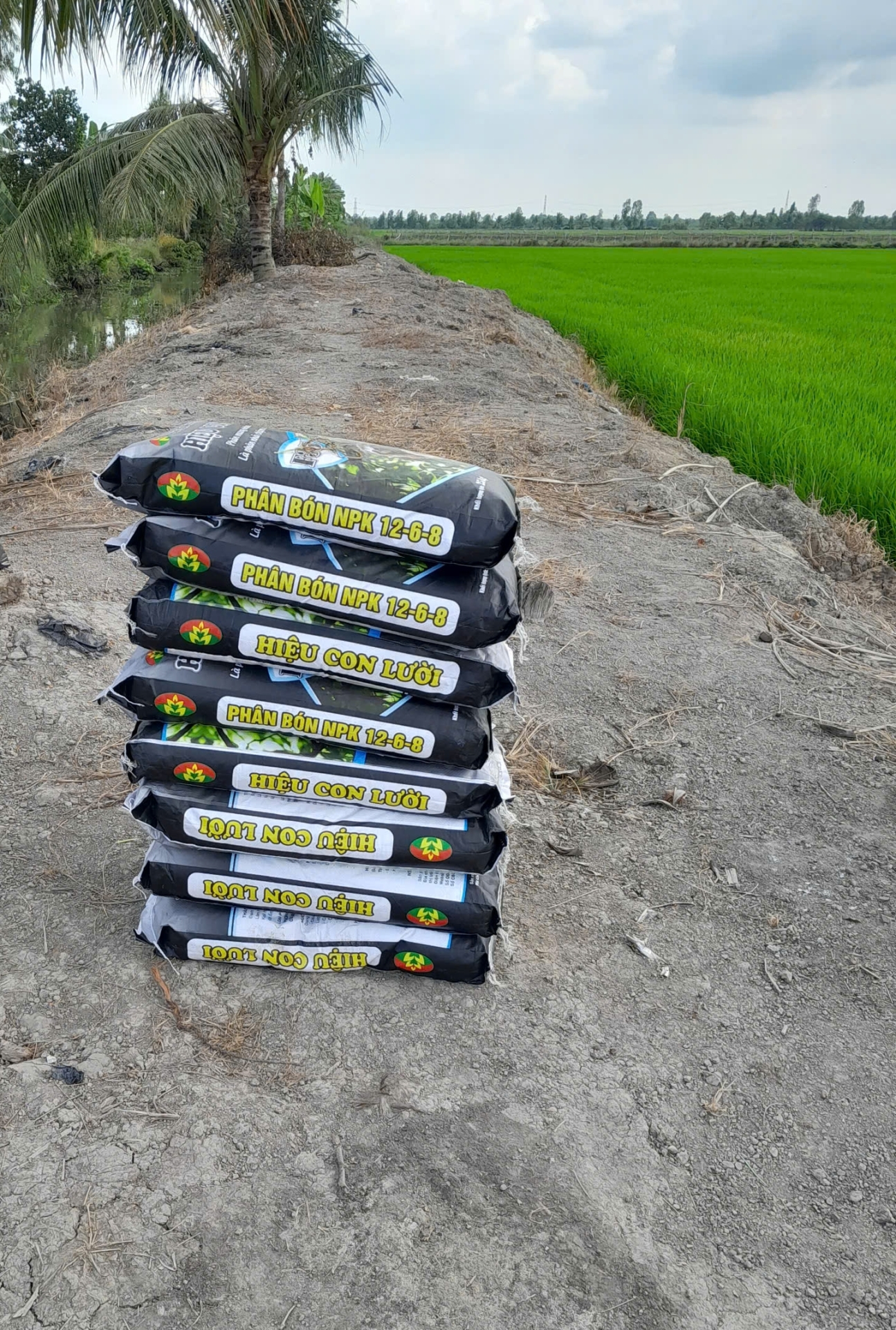 phân bón hiệu Con Lười F35