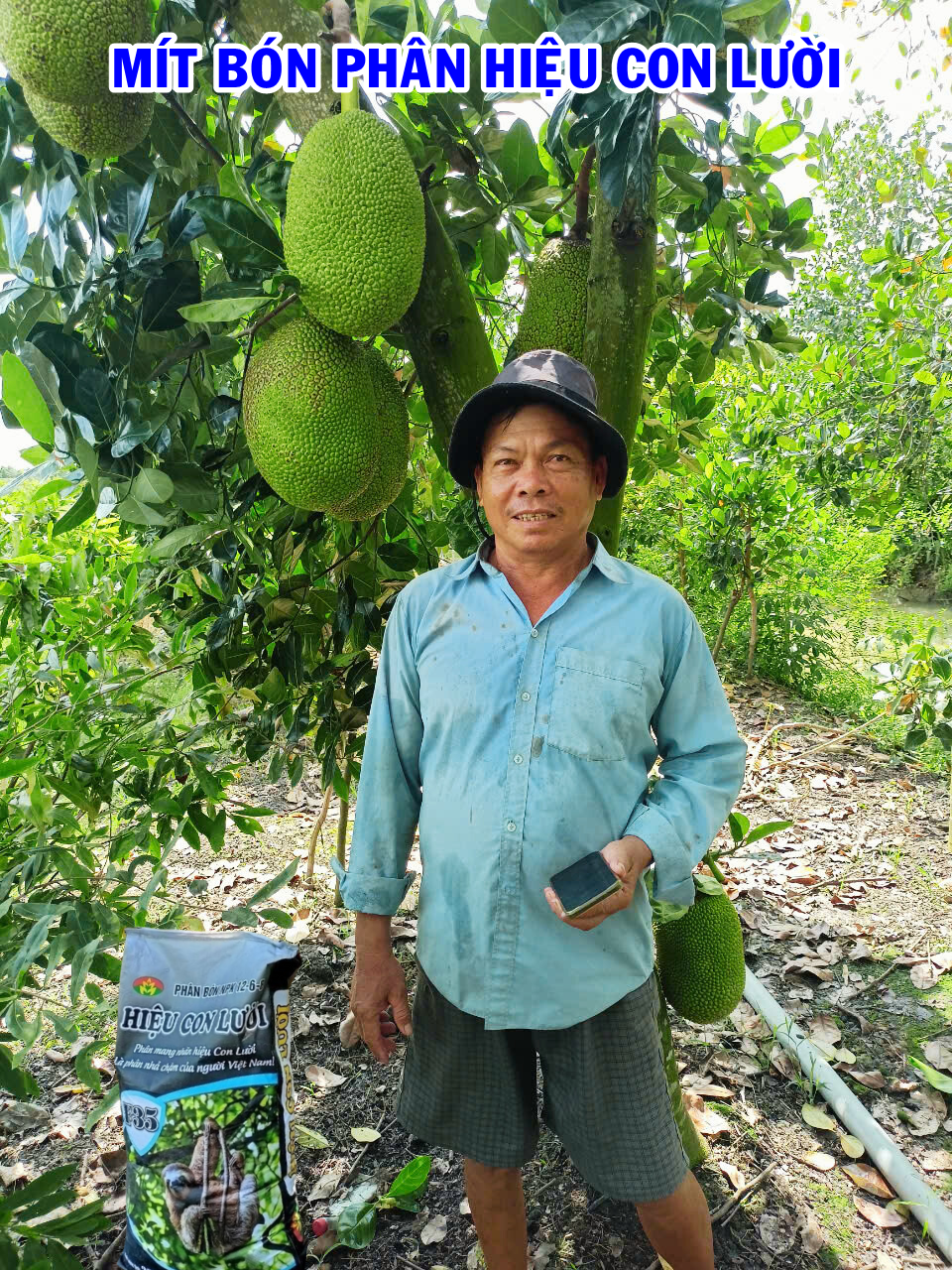 Phân bón hiệu Con Lười F35