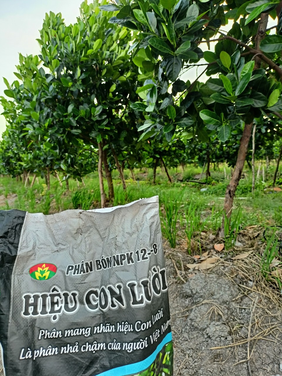 Phân bón hiệu Con Lười F35