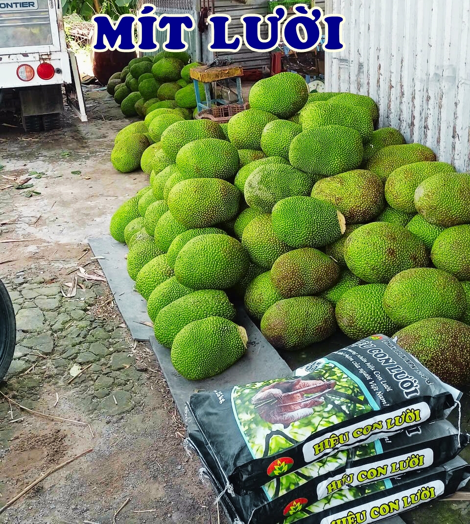 Phân bón hiệu Con lười f35, mít