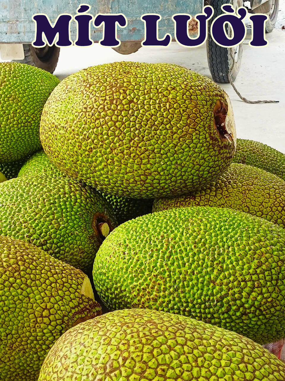 phân bón hiệu Con lười F35