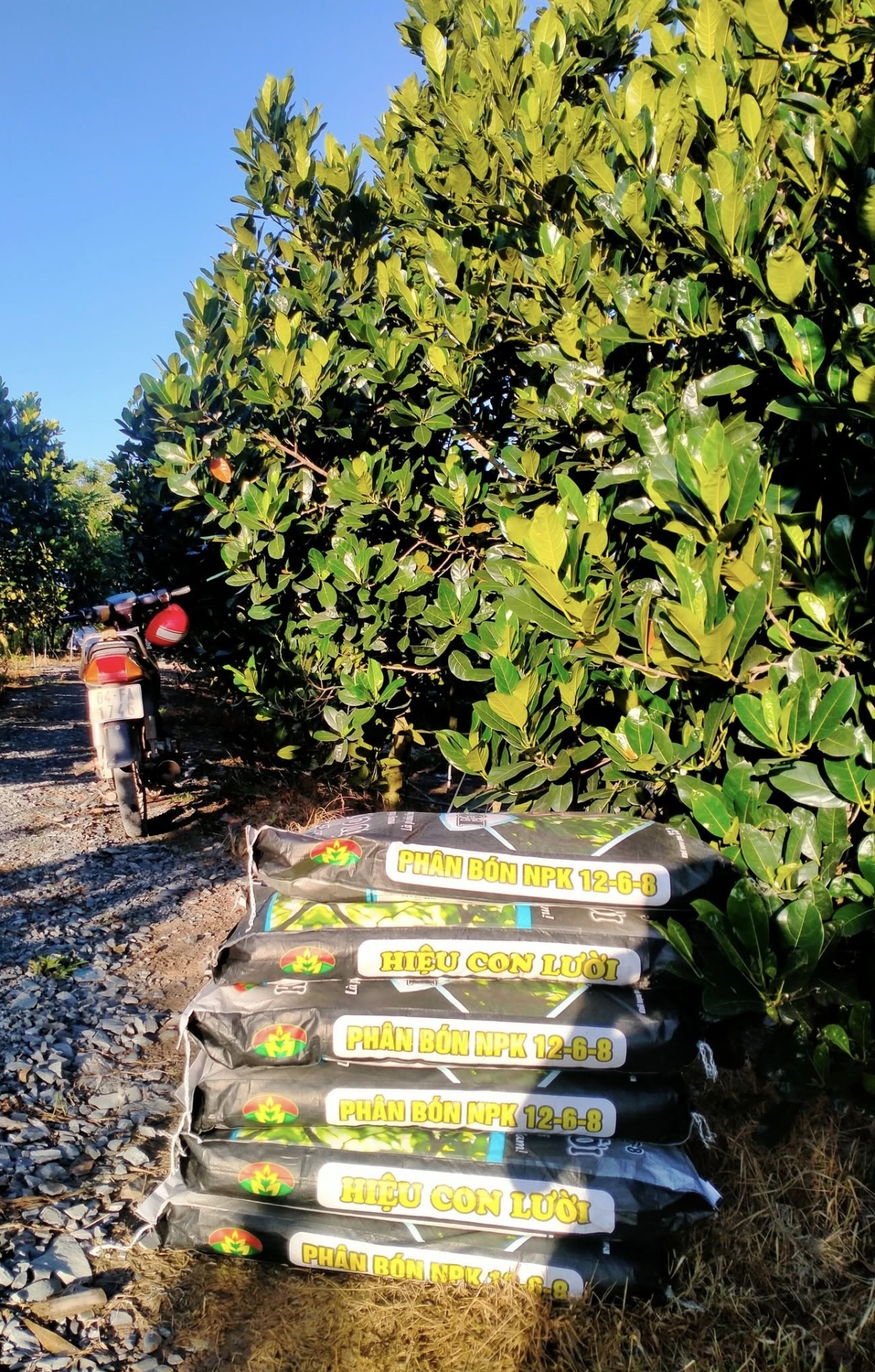 Phân bón hiệu Con Lười F35