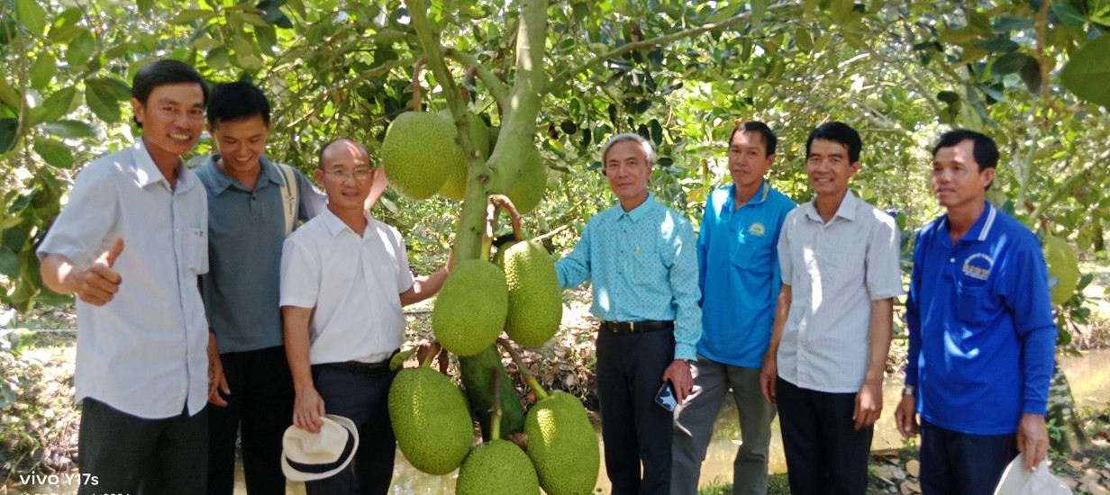 Phân bón hiệu Con Lười F35, cây mít