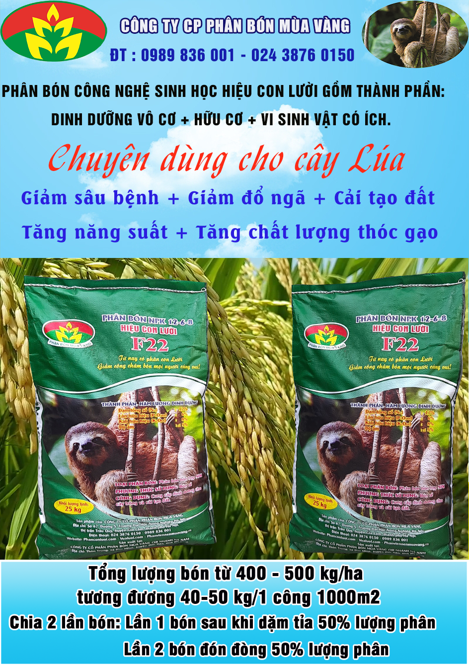 phân con lười, lúa