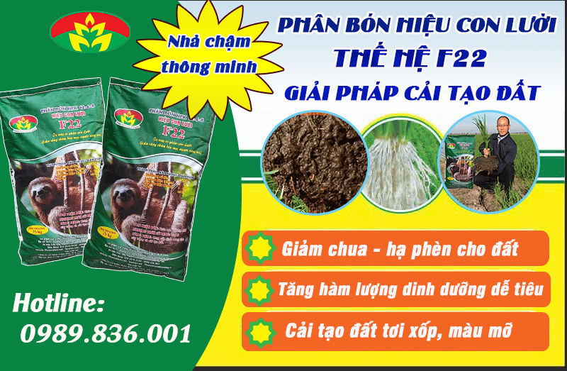 Phân hiệu Con Lười, cây lúa