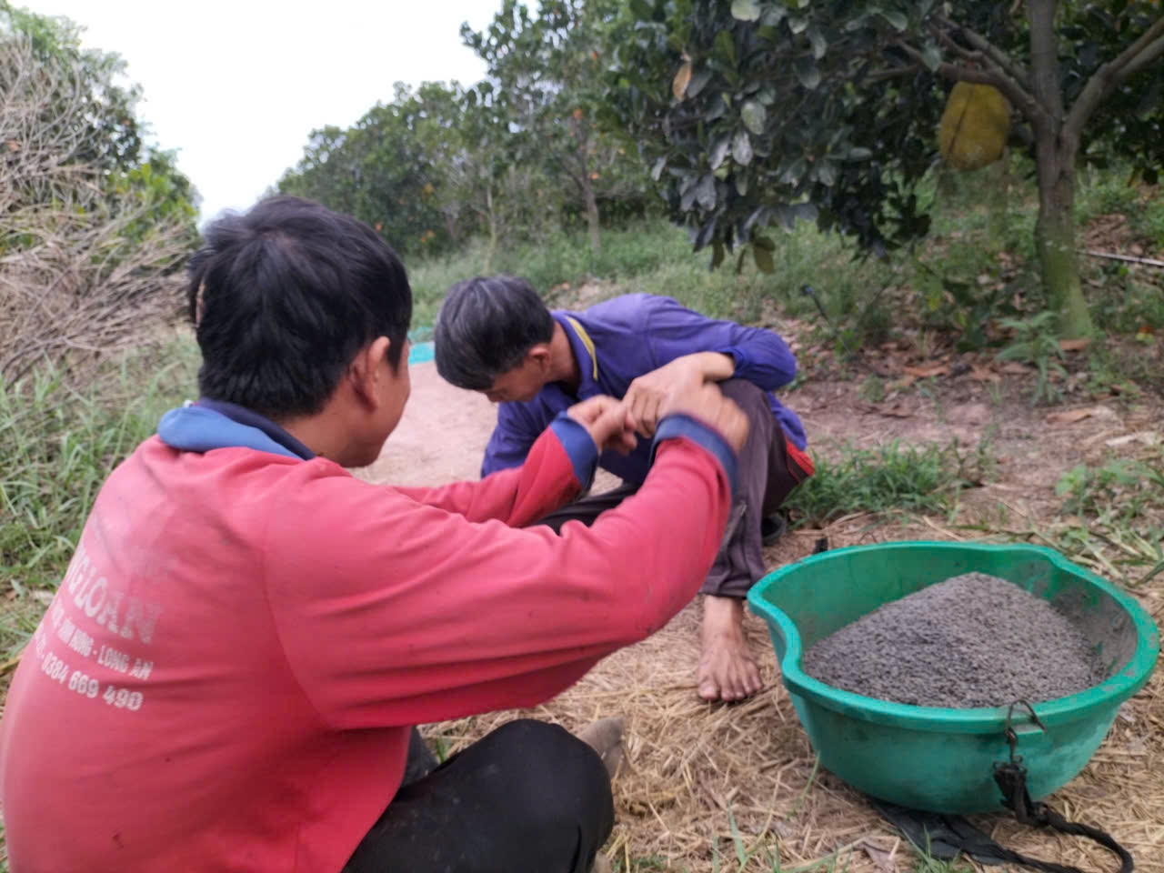 Phân bón hiệu Con Lười F35