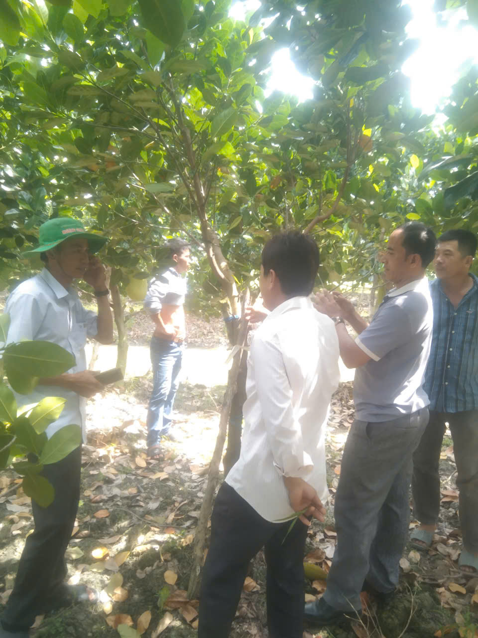 Phân bón hiệu Con Lười F35