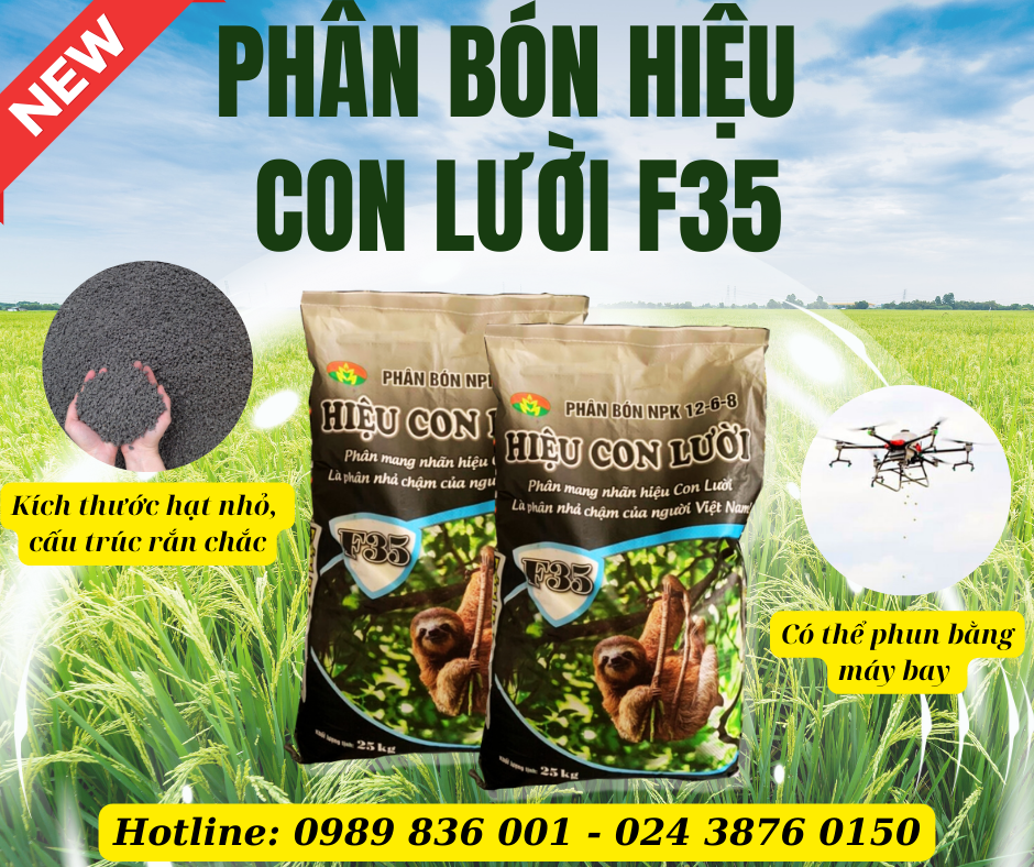 f35, hiệu con lười,