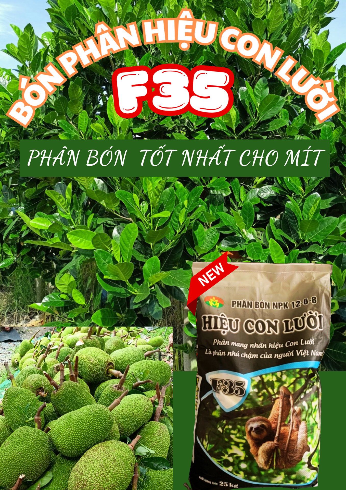 mít, phân bón hiệu con lười f35,