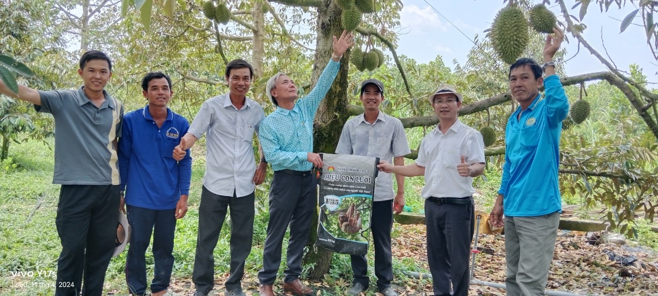 Phân bón hiệu Con Lười, sầu riêng