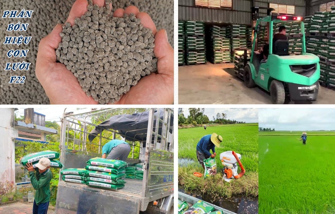phân bón hiệu con lười f22