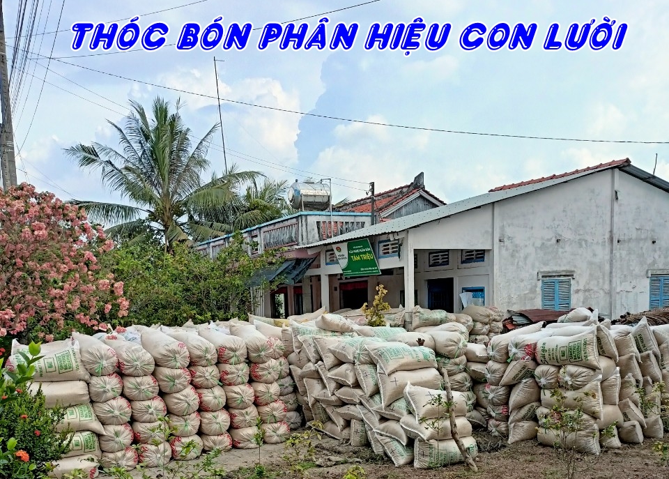 phân bón hiệu Con Lười, lúa Om5451