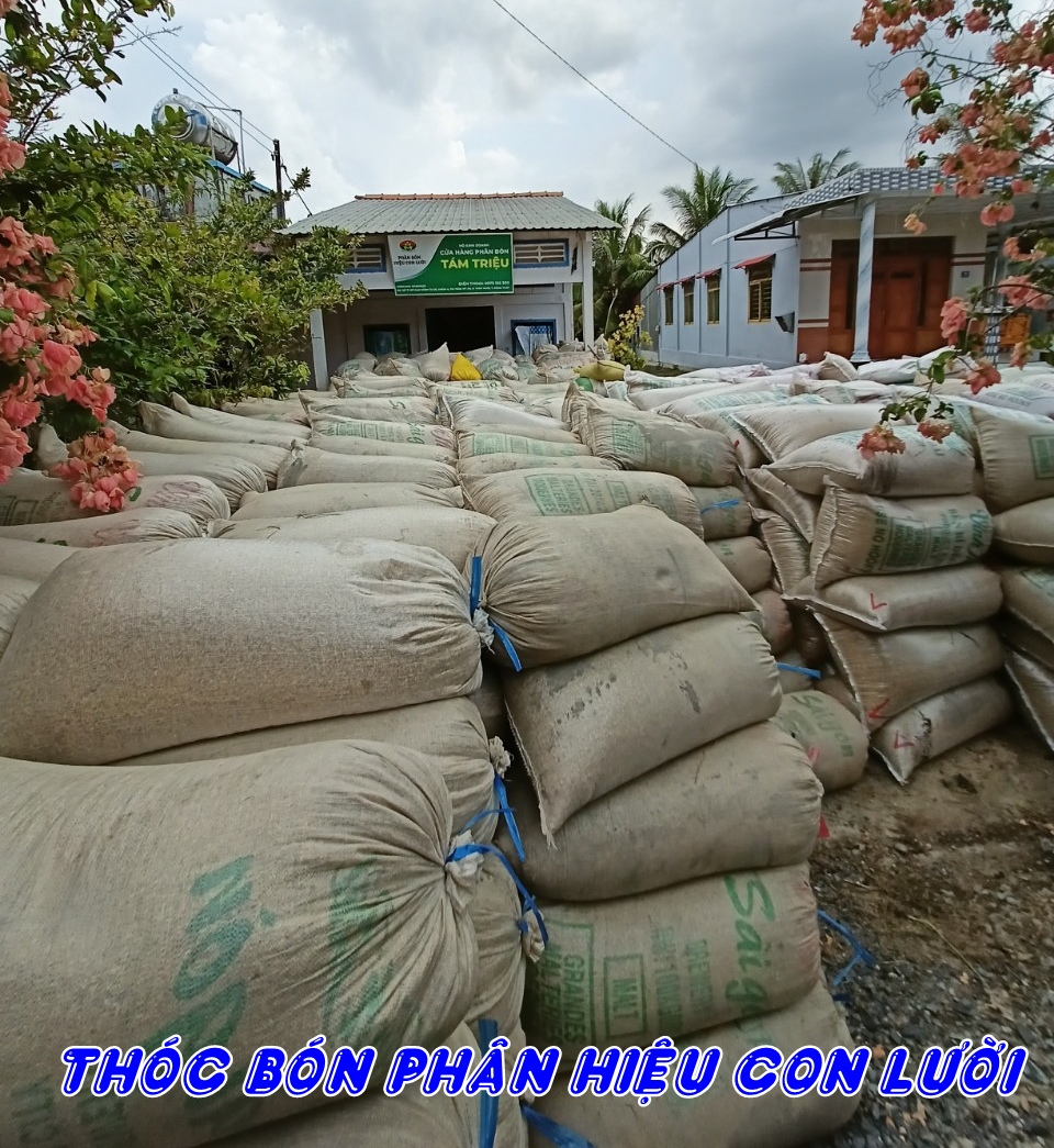 Phân bón hiệu con lười f35, lúa om5451