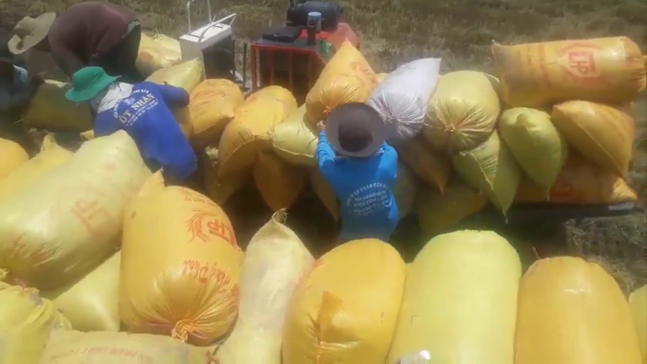 Phân bón hiệu Con Lười