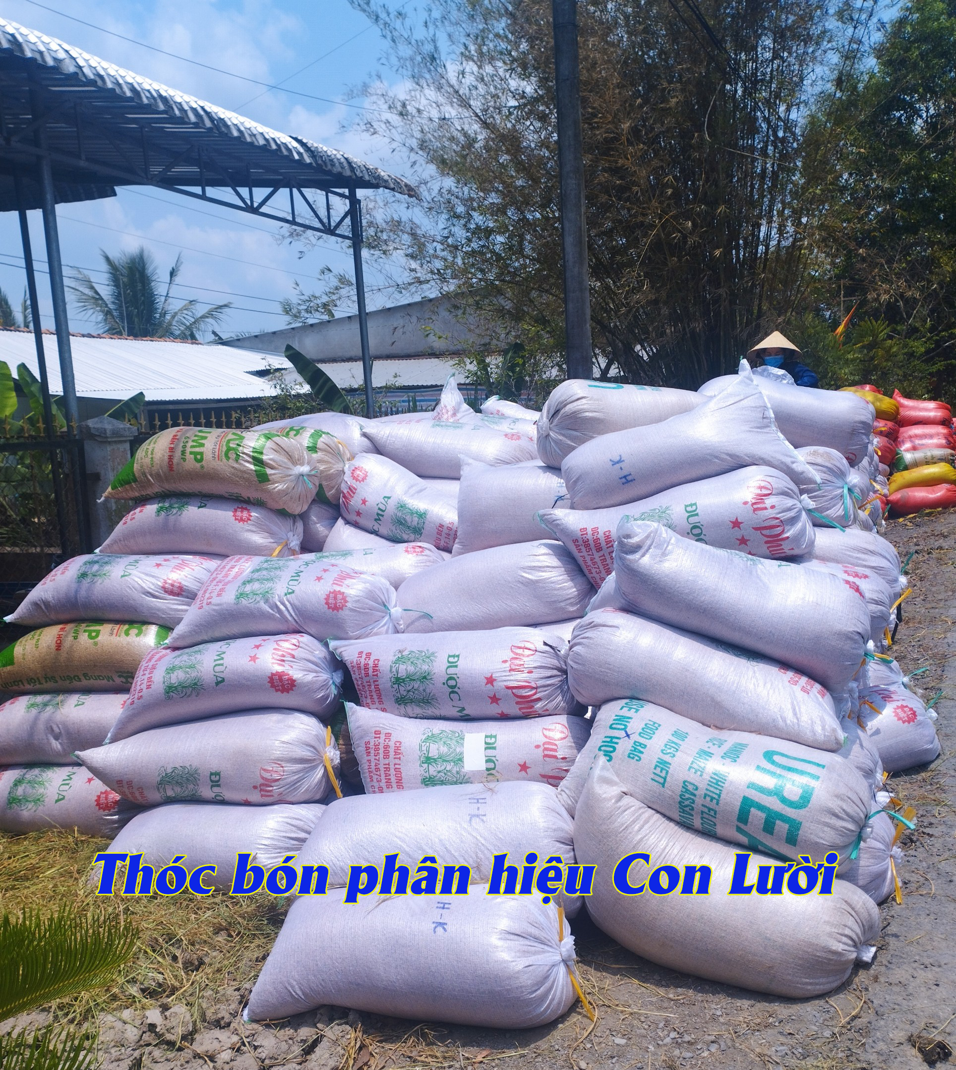 Giá lúa gạo, giá phân bón